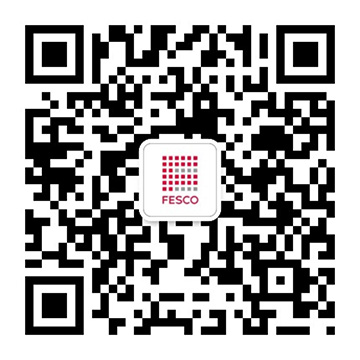 FESCO广东冰球突破