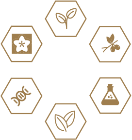 Bodog官网-相信品牌力量