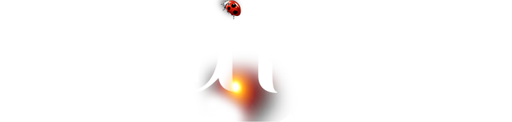 Bodog官网-相信品牌力量